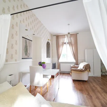 Spa Apartments Theresia Dubí Buitenkant foto